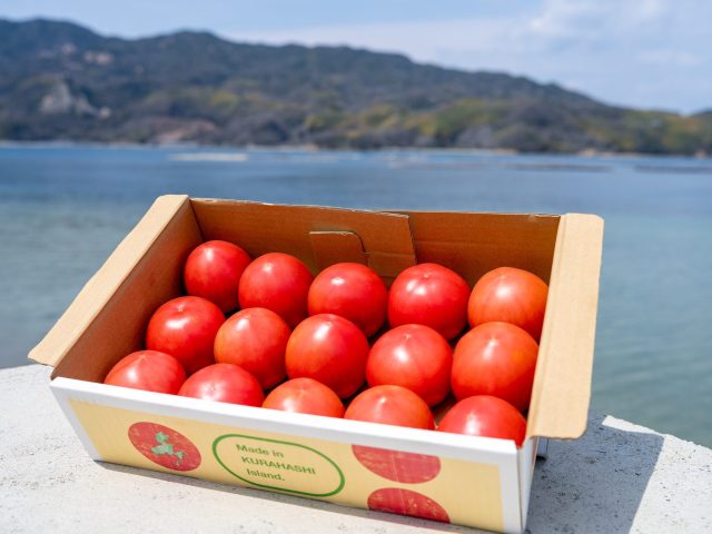 倉橋トマトとは？広島・倉橋島の完熟トマトが美味しい理由