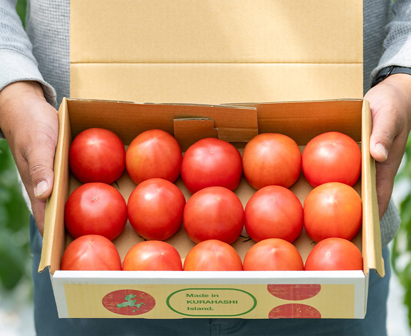 フルーツトマト