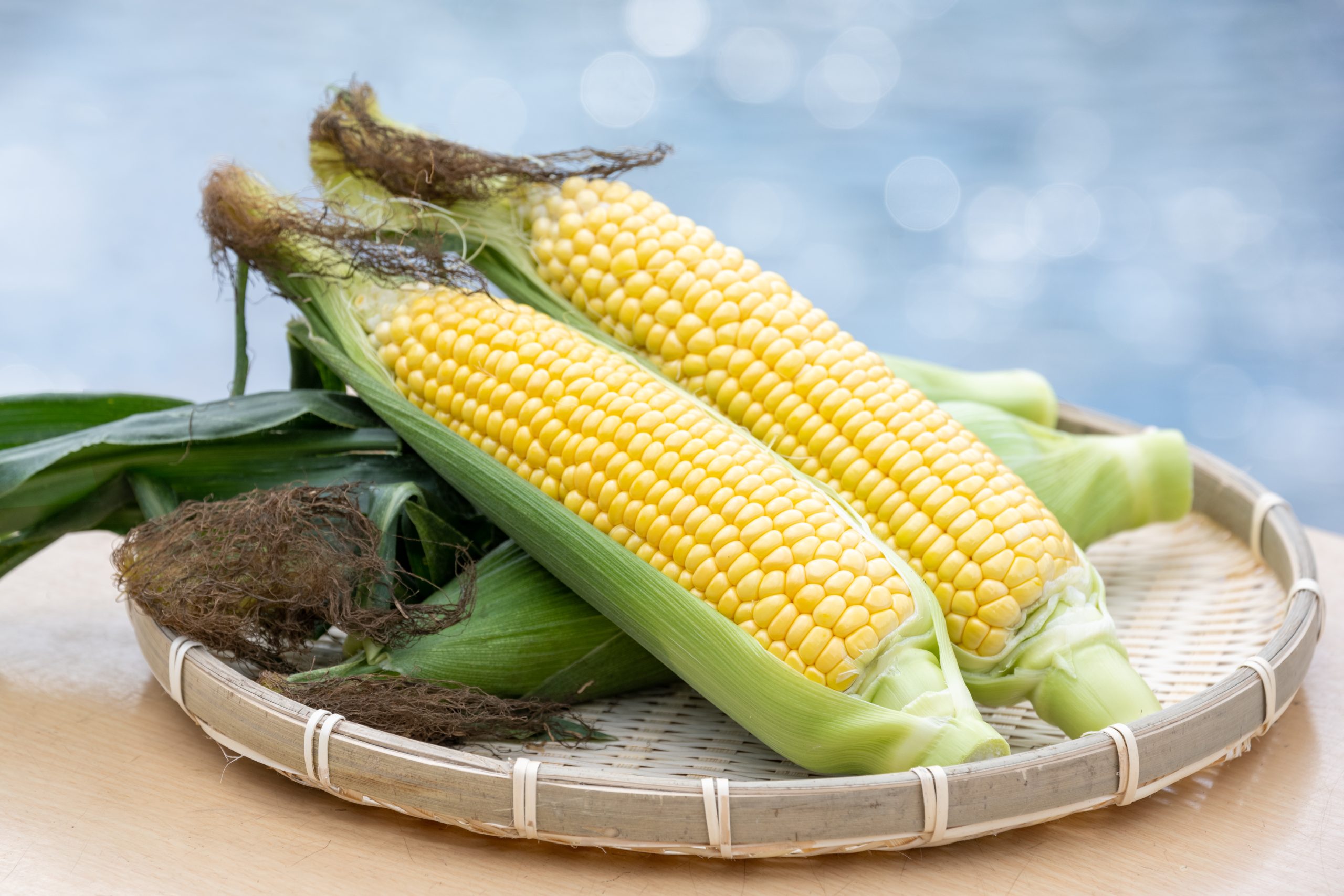 朝採れとうもろこし