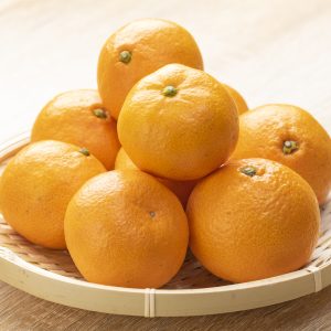 石地みかん5kg【三原市木原町産】