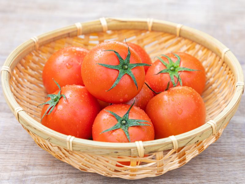 倉橋島のトマト