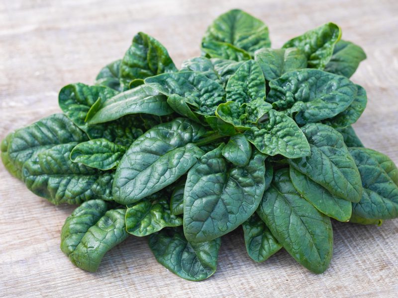 寒じめほうれん草