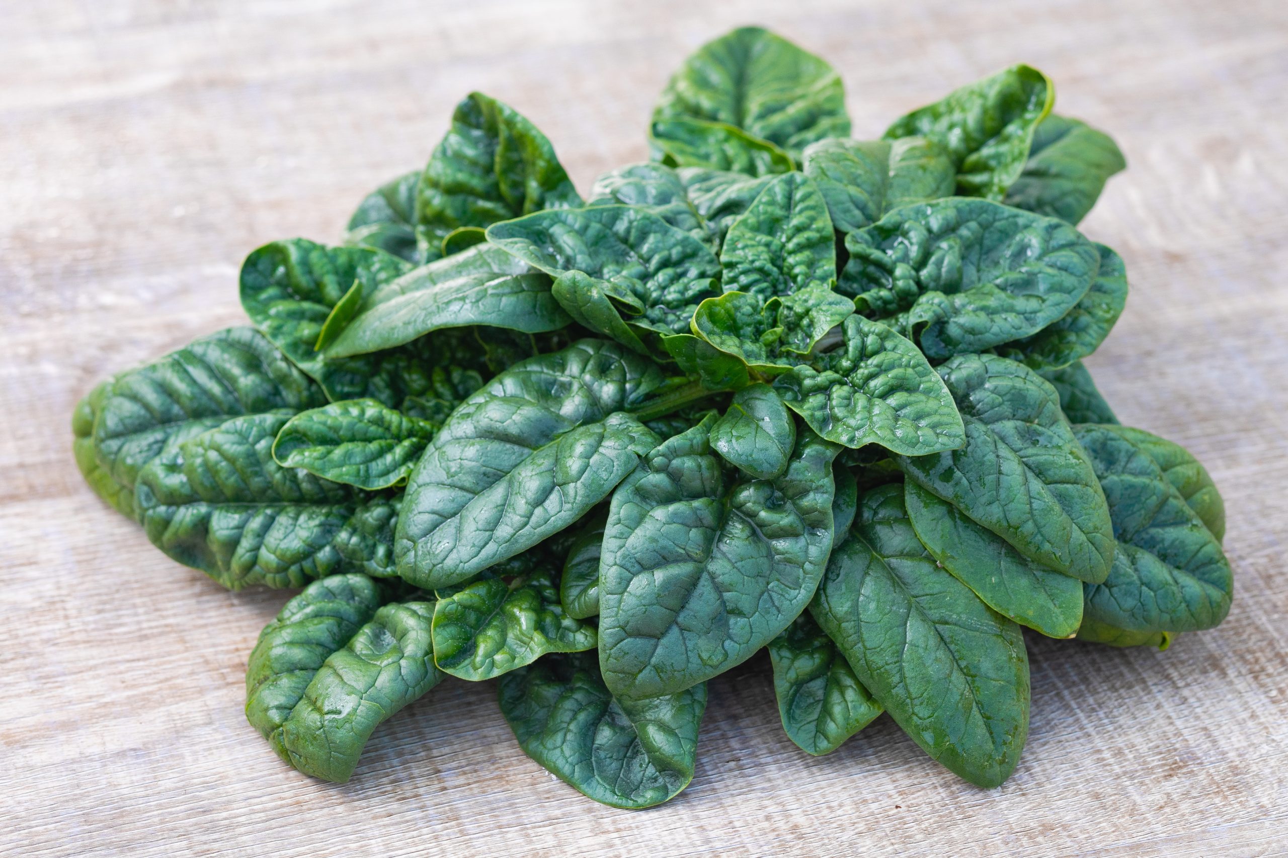 寒じめほうれん草